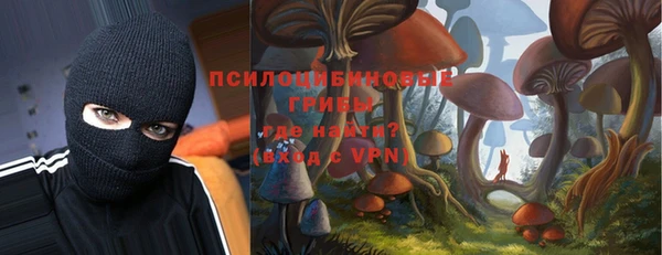 а пвп мука Дмитриев