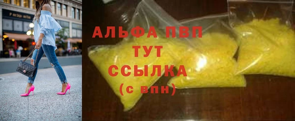 шишки Дмитровск