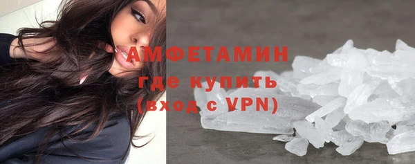 шишки Дмитровск