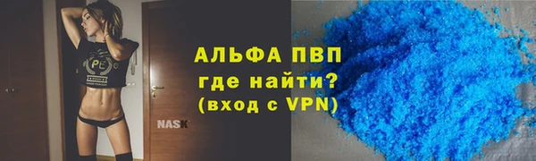 шишки Дмитровск