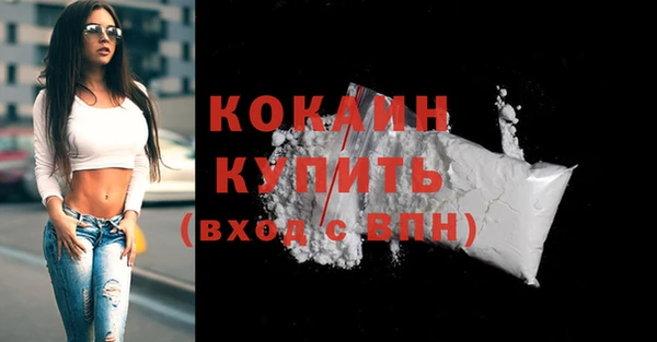 шишки Дмитровск