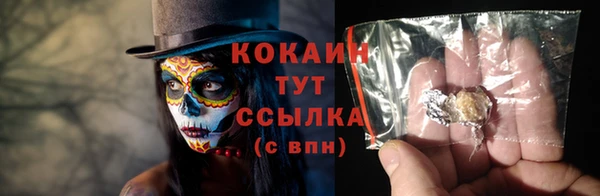 шишки Дмитровск