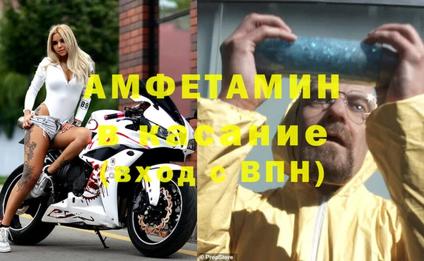 шишки Дмитровск