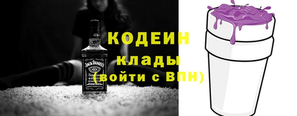 шишки Дмитровск