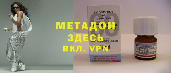 шишки Дмитровск