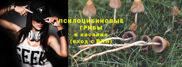 шишки Дмитровск