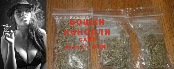 шишки Дмитровск