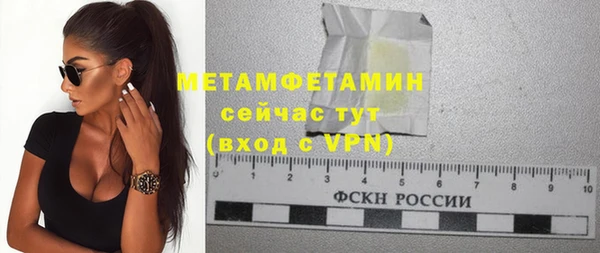шишки Дмитровск