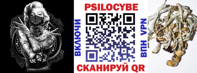 дарнет шоп  Петровск-Забайкальский  blacksprut ссылка  Псилоцибиновые грибы GOLDEN TEACHER 