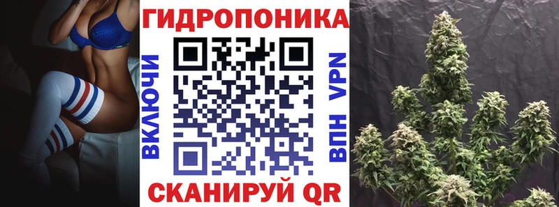 МАРИХУАНА ГИДРОПОН  наркотики  Петровск-Забайкальский 